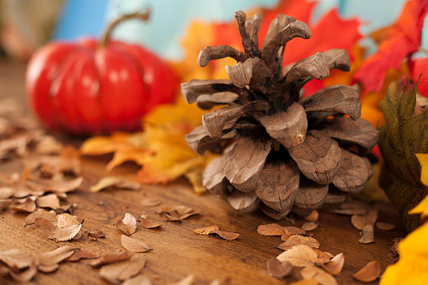 istock Thanksgiving centerpiece with autumn decorations. 600997036