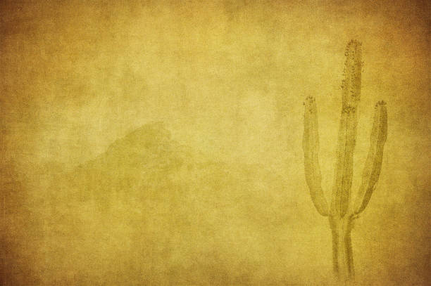 istock grunge background with wild west landscape 600997410