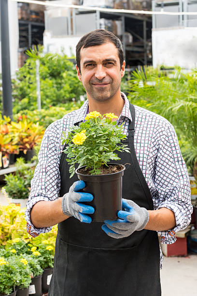 istock Male Florist working at a nursery 600999848