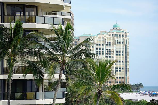 istock Beachfront property with palms and a view of the ocean 601001020