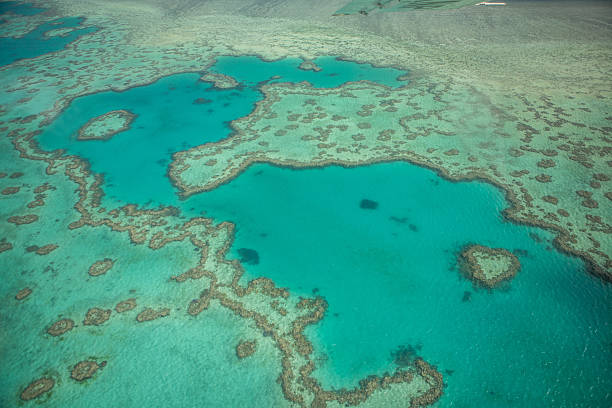 istock Heart reef, Great Barrier reef, Australia 601005006