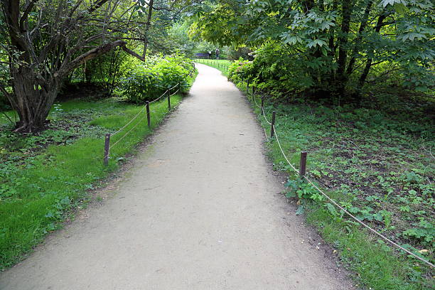 istock Path for pedestrians in the park 601007738