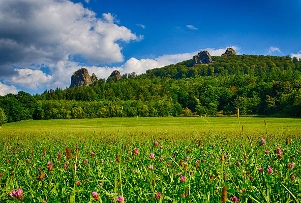 Bruchhauser Steine in Sauerland, Germany