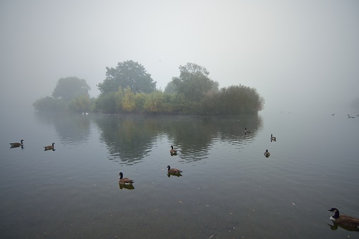 Misty Morning by the Lake.