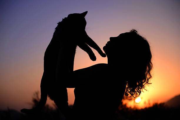 Woman and cat on sunset. 