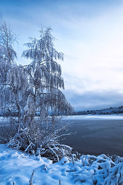 istock Winter landscape with trees, covered with hoarfrost and lake 601015252