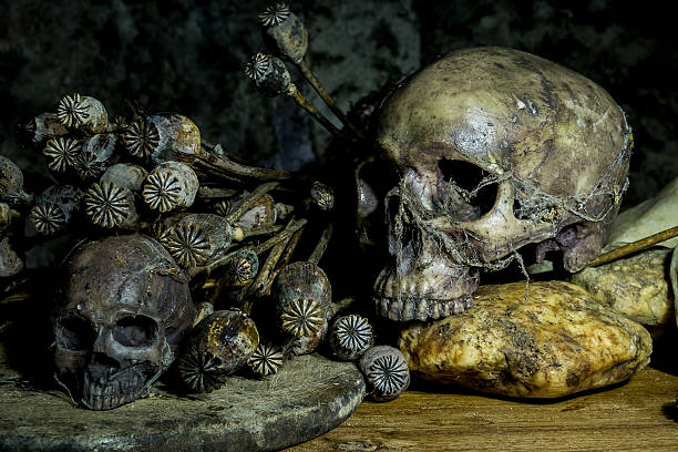 istock Still life with skull and withered opium head 601016392