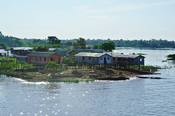 istock Manaus, BR - House on the Amazon river 601017838