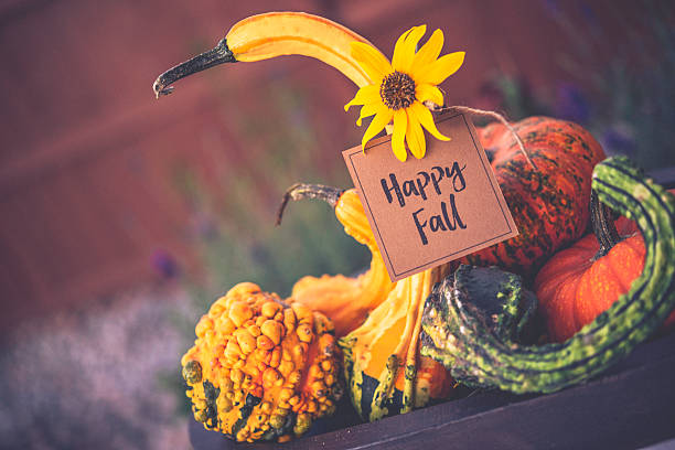 istock Thanksgiving still life background with pumpkins, gourds and message 601018472