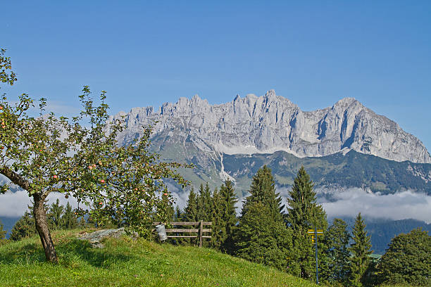 pommier et montagnes kaiser - ackerlspitze photos et images de collection