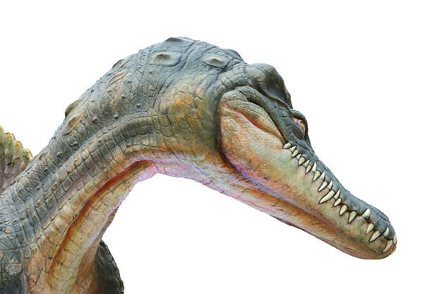istock Clese-up an aggressive Cretaceous dinosaur Spinosaurus 601020280