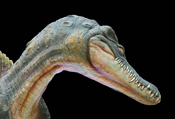 istock Clese-up an aggressive Cretaceous dinosaur Spinosaurus 601020290