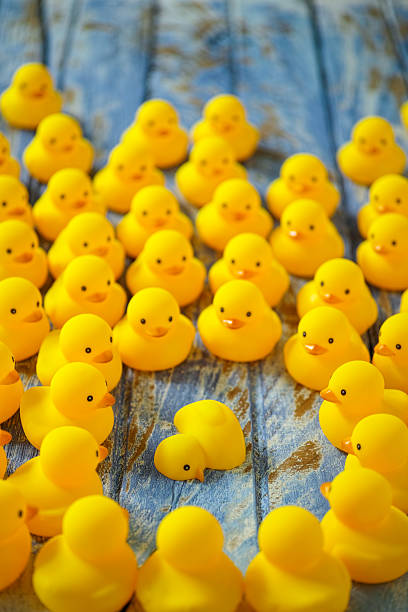 istock Crowd of ducks gathered around a dead duck. 601020538