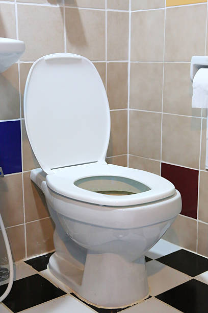 istock Toilet in the bathroom 601020860