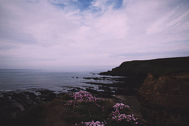 istock View over the coastline near Bude in Cornwall Vintage Retro 601021956
