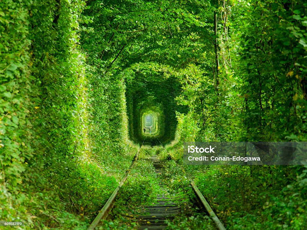 Túnel de amor - Foto de stock de El túnel del amor - Ucrania libre de derechos