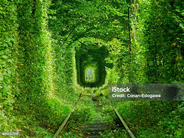 Túnel De Amor Foto de stock y más banco de imágenes de El túnel del amor - Ucrania - El túnel del amor - Ucrania, Ucrania, Europa - Continente
