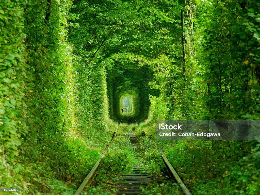 Tunnel of Love OLYMPUS DIGITAL CAMERATunnel of Love near Klevan Tunnel Of Love - Ukraine Stock Photo