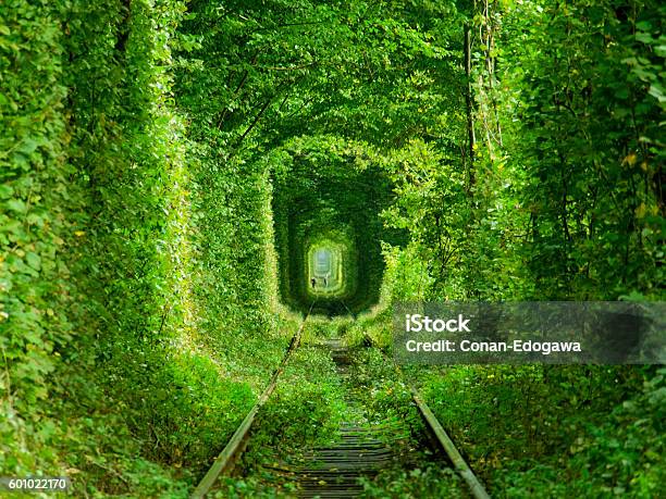 Tunnel Of Love Stock Photo - Download Image Now - Tunnel Of Love - Ukraine, Ukraine, Europe