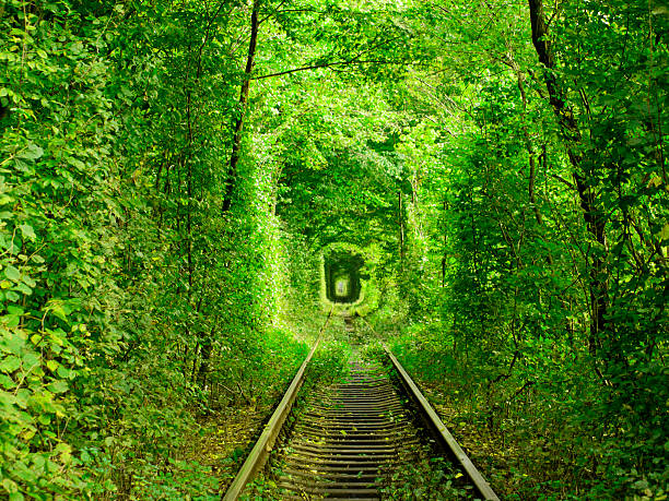 Tunnel of Love