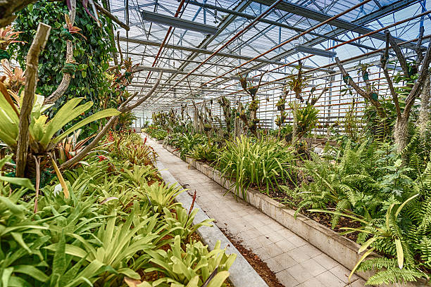 istock Botanic glasshouse building 601024916