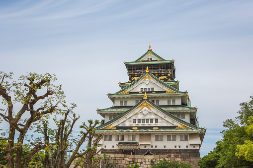 osaka, japan - June 1, 2016: Historical osaka castle is situated at the center of  park at osaka japan