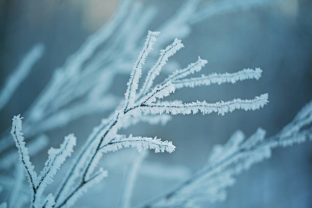 istock Winter nature background. landscape. scene .Frozen 601031012