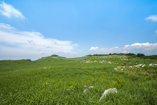 Plateau of grassland and blue sky and clouds (Shikoku Karst)