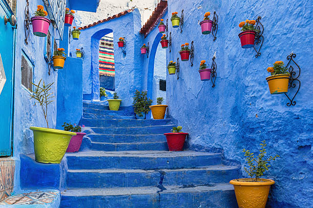 Blue stairway with colourful flowerpots.