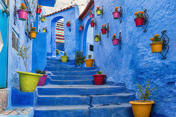 Blue stairway with colourful flowerpots. Blue coloured medina in Chefchaouen, Morocco. morocco photos stock pictures, royalty-free photos & images