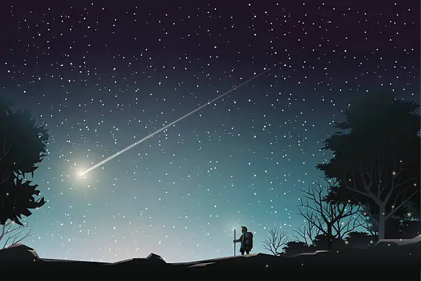 Vector illustration of adventurer journey to watch shooting star in forest