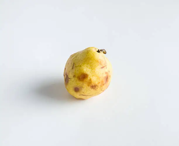 Photo of Bruised and Spotted Pear Fruit