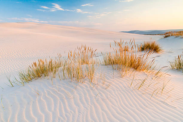 istock beautiful view of the coastal dunes 601116314