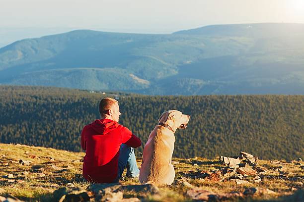 istock Man with dog on the trip in the mountains 601116316