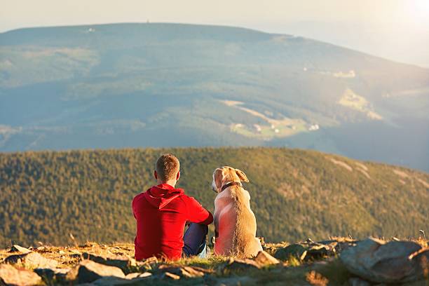 Man with dog on the trip in the mountains Man with dog on the trip in the mountains. Young tourist and his dog are resting and together watching the sunset. karkonosze mountain range photos stock pictures, royalty-free photos & images