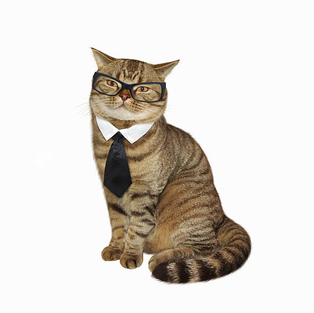 istock Cat in glasses and tie 601122376