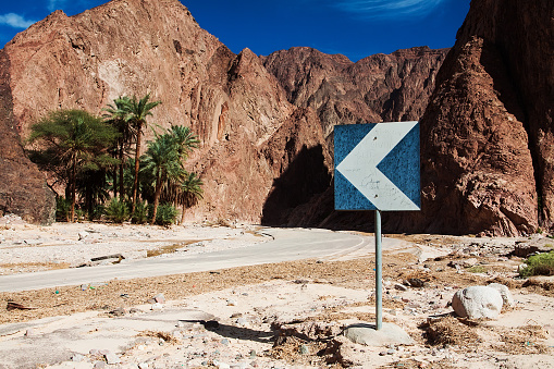 signpost on the desert oasis with palm and mountain view