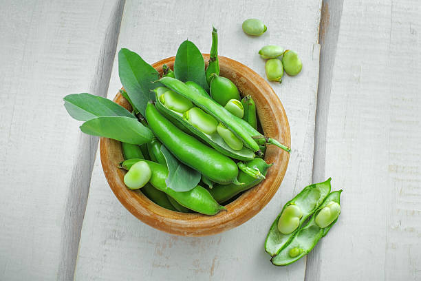 fresh podded broad beans - broad bean imagens e fotografias de stock