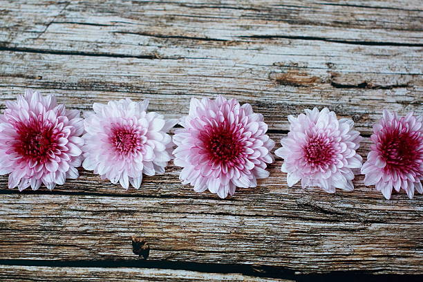istock Violet Flowers on Vintage Wooden Table. 601126368