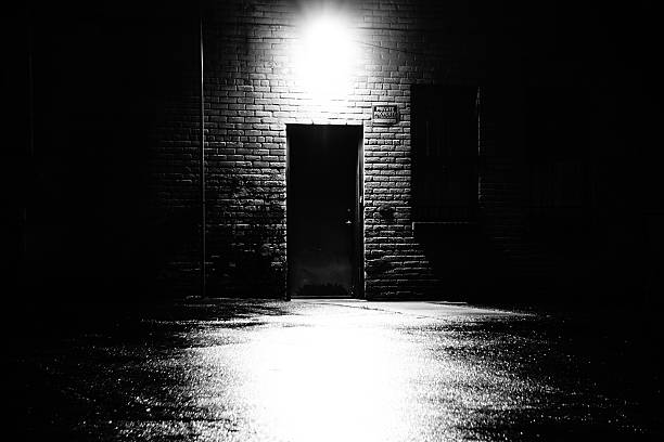 dark business back door - gränd bildbanksfoton och bilder