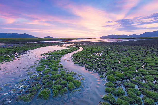 istock Beautiful sunset sky background over small water way 601127942