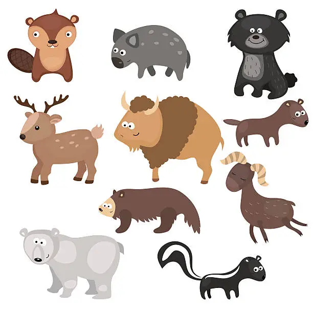 Vector illustration of Vector set of different animals of North America.