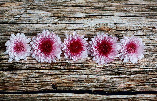 istock Violet Flowers on Vintage Wooden Table. 601134590