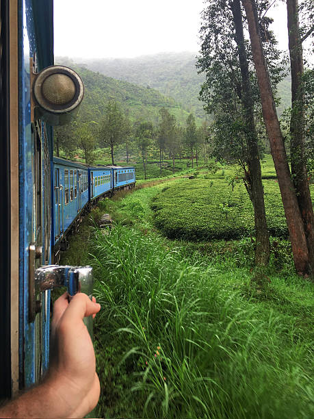 istock kandy to ella tea train in sri lanka 601136520