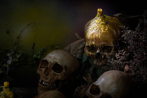 istock Candle on head skull and dried flowers in dim light 601136784