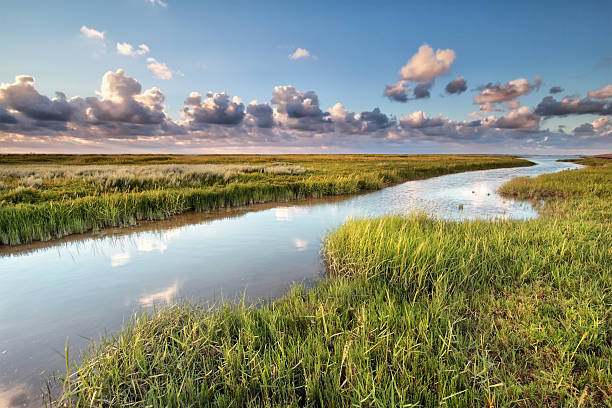 istock Wadden sea coast by Moddergat 601137606