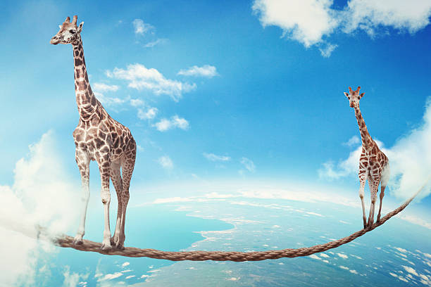 istock Managing risk big business challenges uncertainty concept 601138958