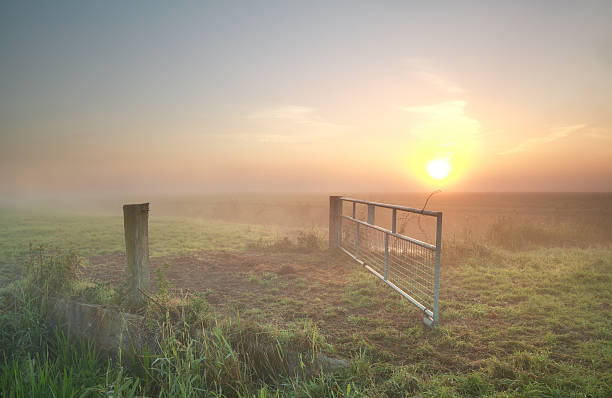 istock misty sunrise on Dutch farmland 601139698