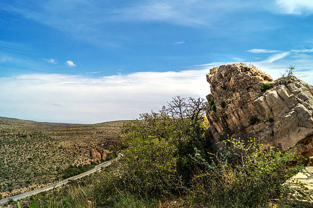 istock New Mexico landscape near Carlsbad 601141412