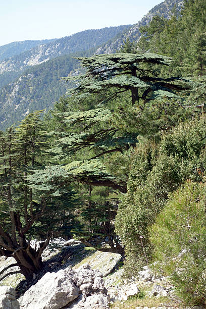 istock Likya Yolu hiking trail, Turkey 601148344